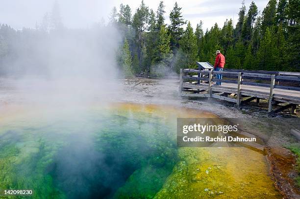 a man reads the interpretive sign at the morning glory pool in yellowstone national park, wyoming. - geyser stock pictures, royalty-free photos & images