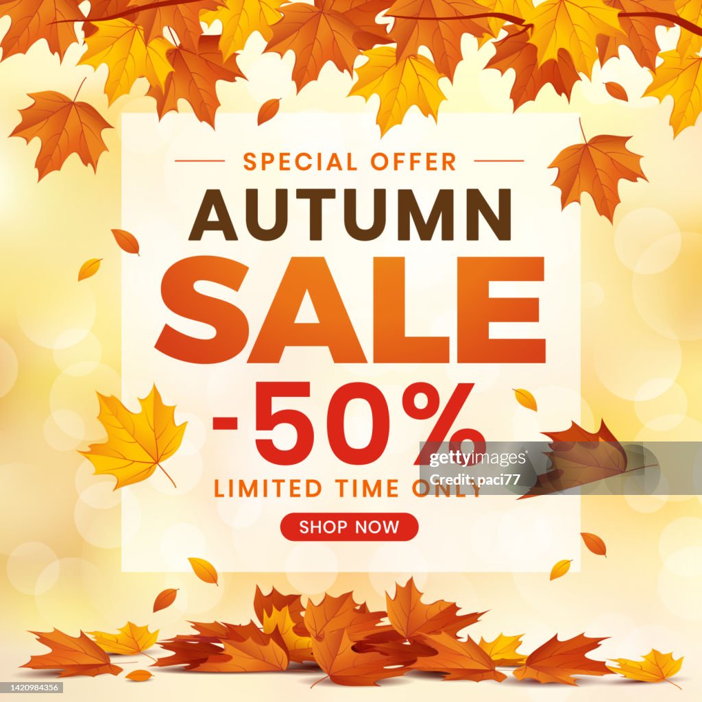 Autumn Sale banner background with leaves.