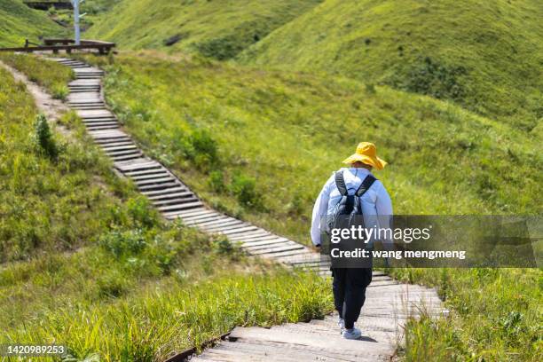 a young asian man hiking in the mountains with a backpack - 森林 stockfoto's en -beelden