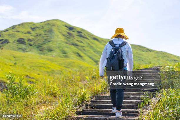 a young asian man hiking in the mountains with a backpack - 森林 stockfoto's en -beelden