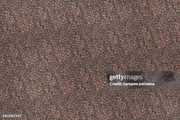 reptile leather texture background - rough scale python fotografías e imágenes de stock