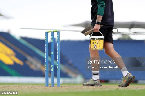 Detailed view of the LV= Insurance branded stumps as a member of the groundstaff team tends to the pitch during the lunch break of the LV= Insurance...