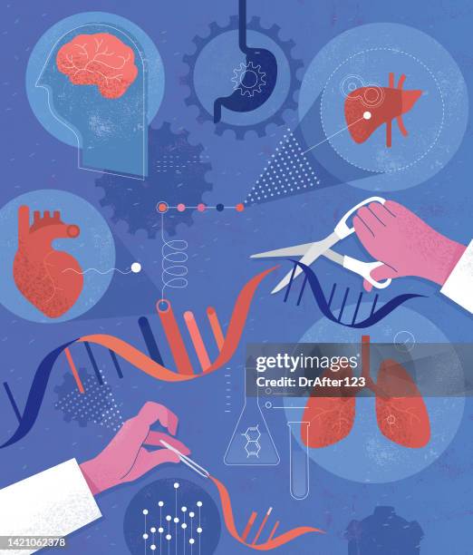 ilustrações de stock, clip art, desenhos animados e ícones de dna genetic manipulation human organs - conjugation biological process