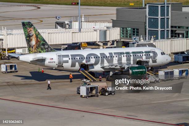 frontier airlines a319-111 - n910fr - airbus a319 111 stock pictures, royalty-free photos & images