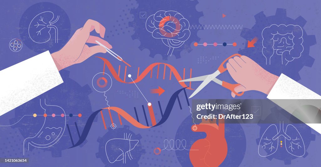 DNA Manipulation Genetic Engineering