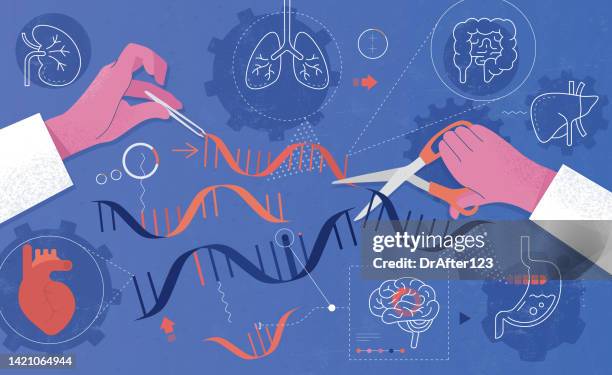 ilustrações de stock, clip art, desenhos animados e ícones de genetic engineering - conjugation biological process