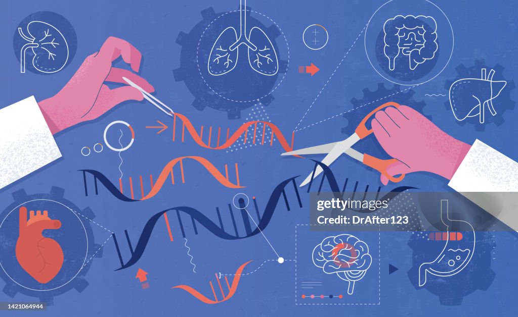 Genetic Engineering Work Genetic Engineering High-Res Vector Graphic - Getty Images
