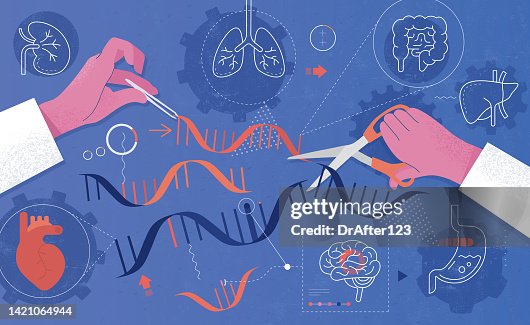 Genetic Engineering Genetic Engineering