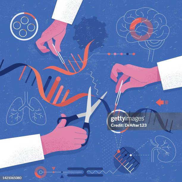 genetische manipulation - crispr stock-grafiken, -clipart, -cartoons und -symbole