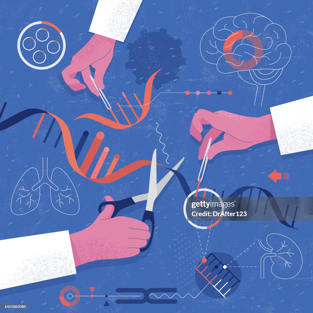 Genetic Manipulation Examples Genetic Manipulation High-Res Vector Graphic - Getty Images