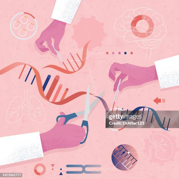 stockillustraties, clipart, cartoons en iconen met genetically engineered human organs - crispr