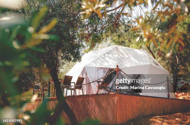 glamping dome tent in forest. - rundzelt stock-fotos und bilder