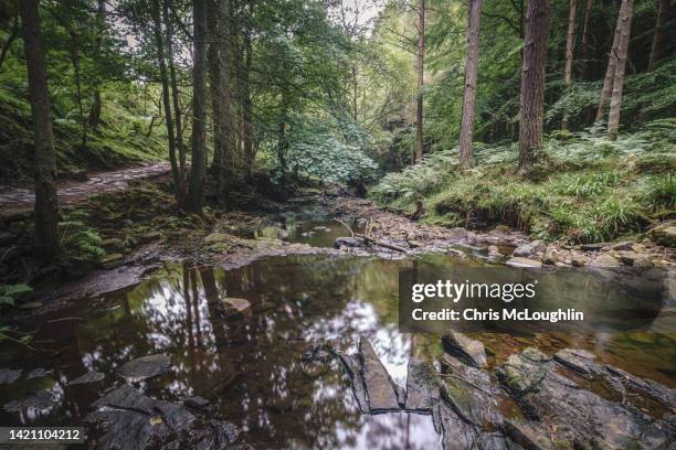 gibson's cave-summerforce waterfall in teesdale - riverbank stock pictures, royalty-free photos & images