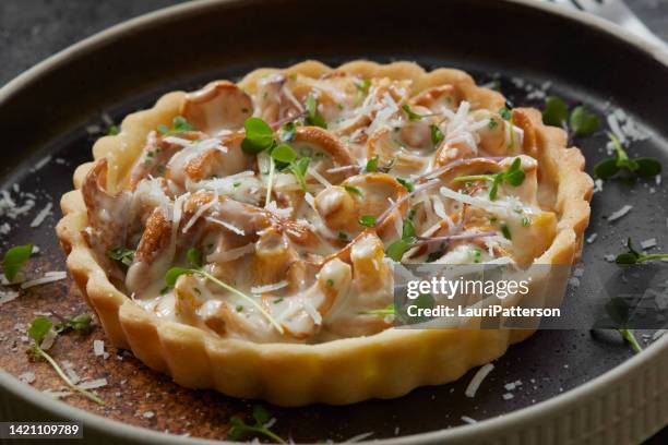 chanterelle mushroom tart - savory pie stockfoto's en -beelden