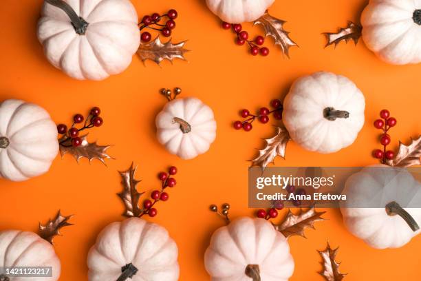 frame of white seasonal pumpkins, red viburnum twigs and golden holly leaves on orange background. concept of thanksgiving day. photography from above with copy space - miniature pumpkin stock pictures, royalty-free photos & images