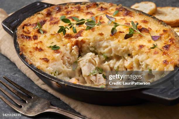 creamy chicken shepherd's pie - bechamel sauce stock pictures, royalty-free photos & images