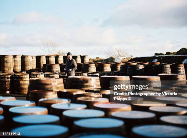 man walks amongst barrels - distillery stock pictures, royalty-free photos & images