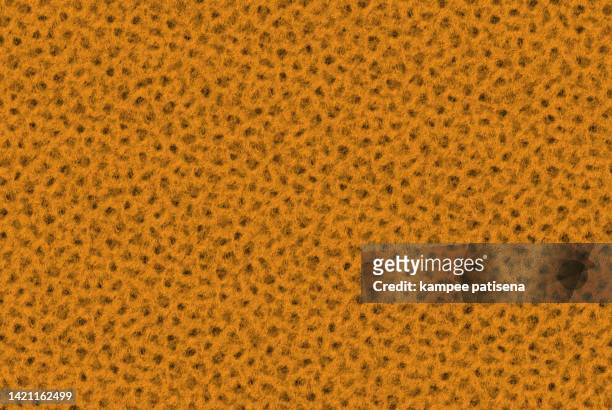 leopard fur pattern - african print photos et images de collection