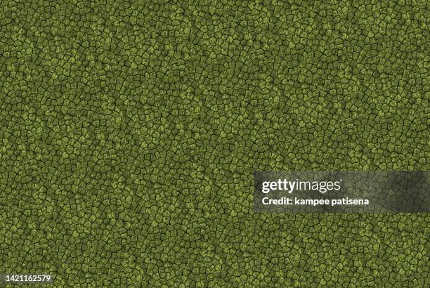 reptile leather texture background - rough scale python fotografías e imágenes de stock