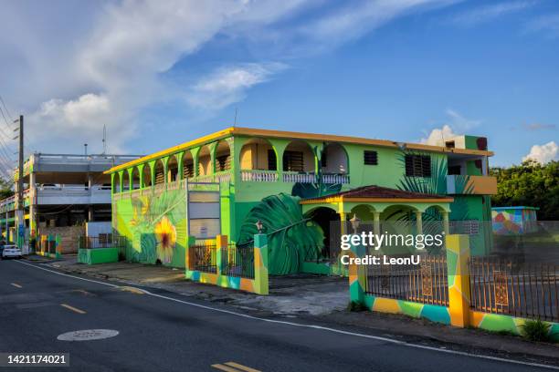 street view of a colorfully painted building, rio grande, puerto rico - puerto rico road stock pictures, royalty-free photos & images