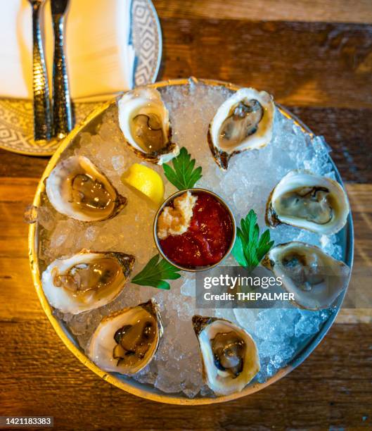 raw oysters on ice tray - dozen stock pictures, royalty-free photos & images