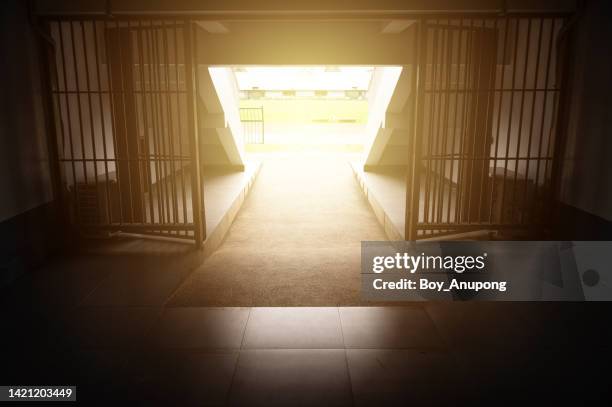 view of tunnel entrance way into stadium. - stadium entrance stock pictures, royalty-free photos & images