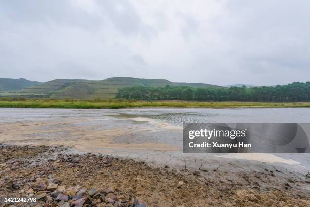 drying up pond, cracked earth - mud riverbed stock pictures, royalty-free photos & images