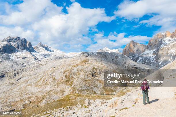 trekking in picos de europa - picos de europe stock pictures, royalty-free photos & images