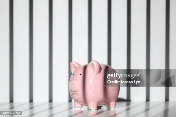 piggy bank trapped inside a prison - debtor prison stock pictures, royalty-free photos & images