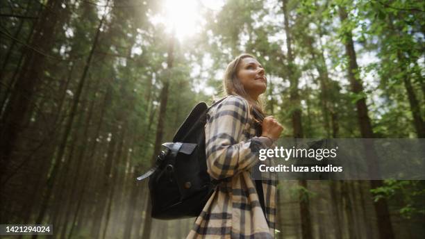 woman hiking through an idyllic nordic forest - low angle view stock pictures, royalty-free photos & images