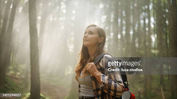 Forest Wide Screen Photos and Premium High Res Pictures - Getty Images