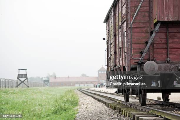 tourists grimly reflect history, auschwitz-birkenau, krakow, poland - world war ii museum stock pictures, royalty-free photos & images