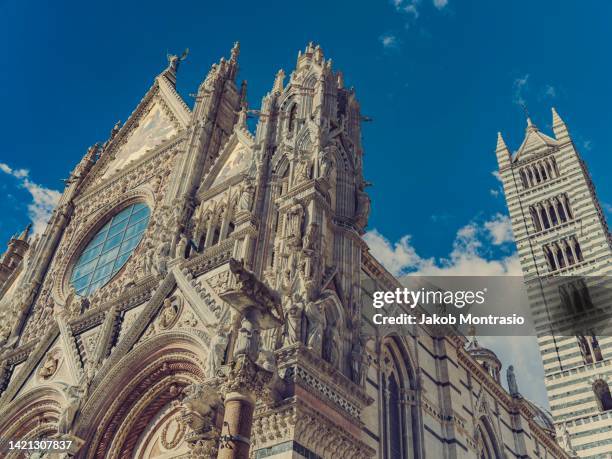 cathedral of siena (duomo di siena) in tuscany, italy - kathedraal van siena stockfoto's en -beelden