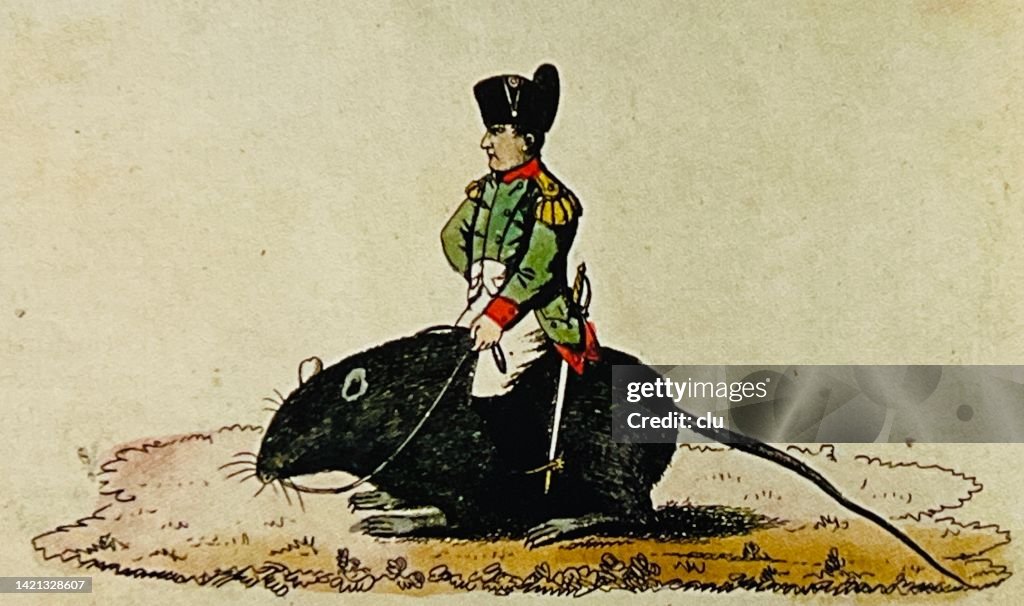 Napoleon Riding On A Rat Side View High-Res Vector Graphic - Getty Images