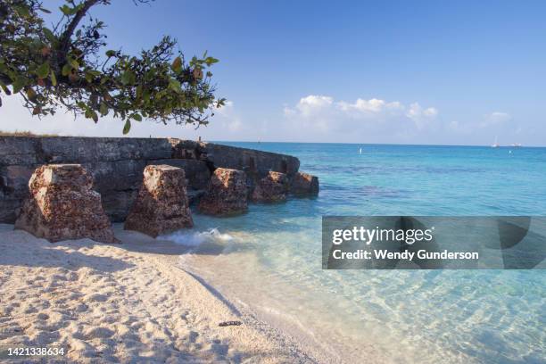 beach at fort jefferson, dry tortugas national park - citadel v florida stock pictures, royalty-free photos & images