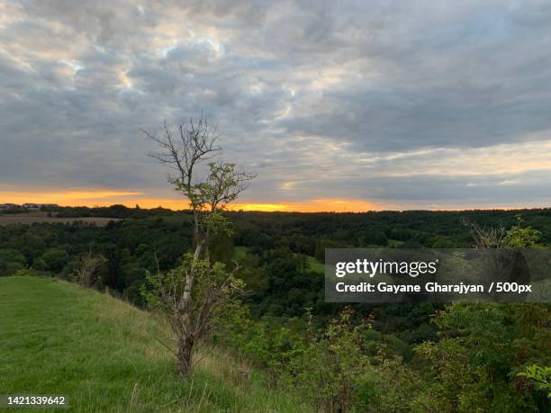 scenic view of field against sky during sunset - gayane stock pictures, royalty-free photos & images