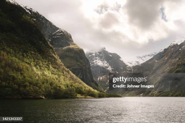 young woman taking selfie at fiord - physical geography stock pictures, royalty-free photos & images