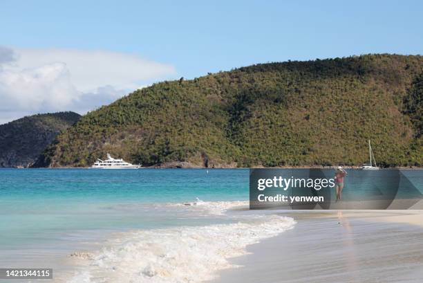 cinnamon bay beach in st. john virgin islands - virgin islands national park stockfoto's en -beelden