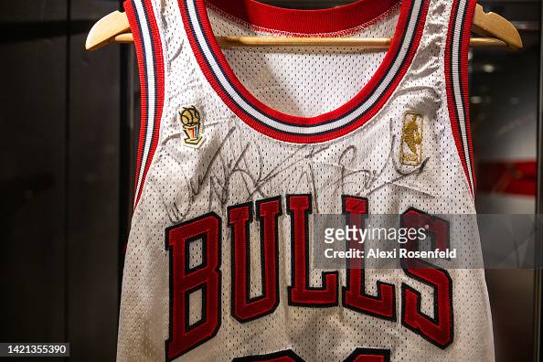 Michael Jordan Gold Champion Jersey Chicago Bulls 40 Medium Last Dance  Rodman