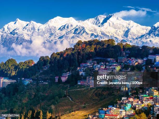 4,698 Darjiling Darjeeling Stock Photos, High-Res Pictures, and Images ...