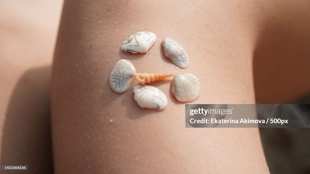 Seashells Body Seashells On The Human Body Closeup Rest Travel High-Res Stock Photo ...