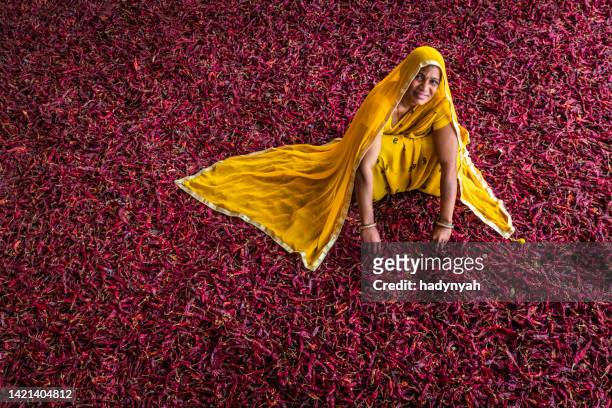 young indian woman sorting red chilli peppers, jaipur, india - spice market stock pictures, royalty-free photos & images