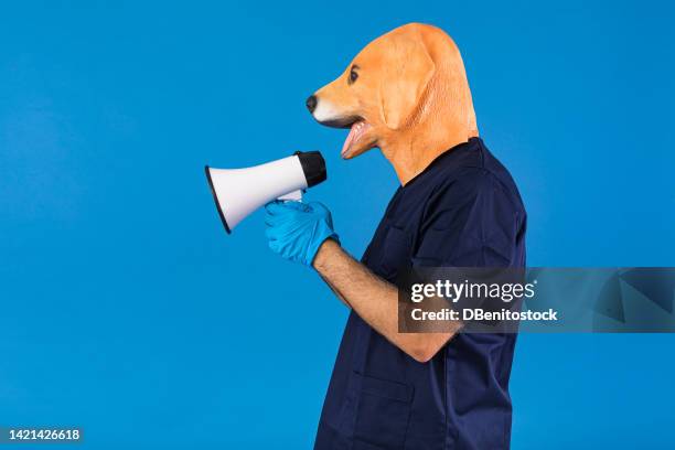 person with dog mask, wearing vet, doctor and nurse outfit, holding a megaphone yelling, on blue background. concept of pet, veterinary and care of pets and animals. - dog mask stock pictures, royalty-free photos & images