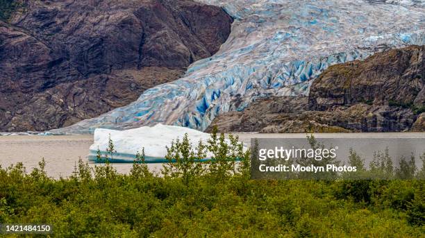 shrinking mendenhall glacier and ice floe - moräne stock-fotos und bilder