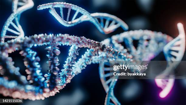 dna helix - biologisch stockfoto's en -beelden