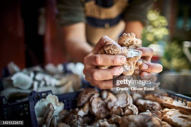 close-up of man holding handful of mushrooms - focus on foreground food stock pictures, royalty-free photos & images