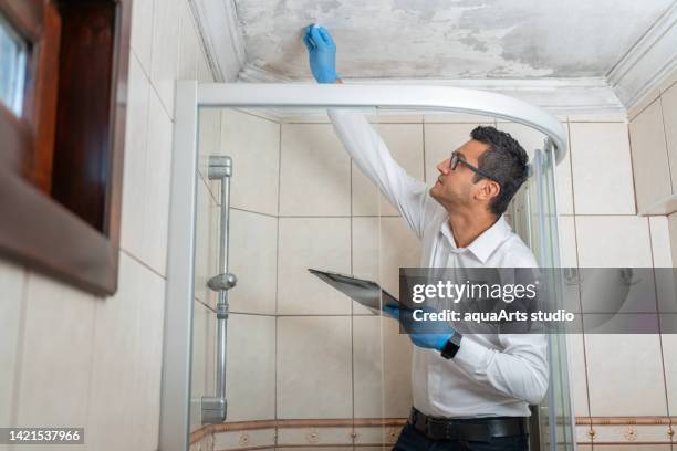 man examining moldy white wall - powdery mildew fungus stockfoto's en -beelden