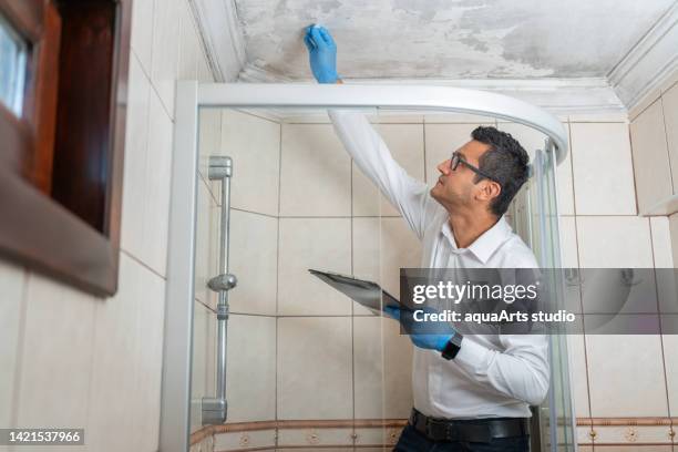 man examining moldy white wall - bathroom ceiling stock pictures, royalty-free photos & images