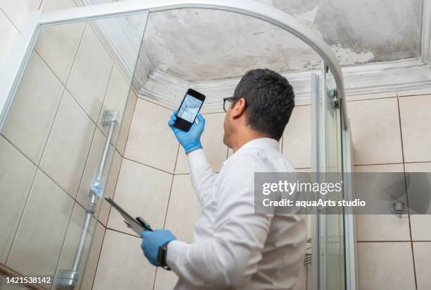 hombre examinando la pared blanca mohosa - moho fotografías e imágenes de stock