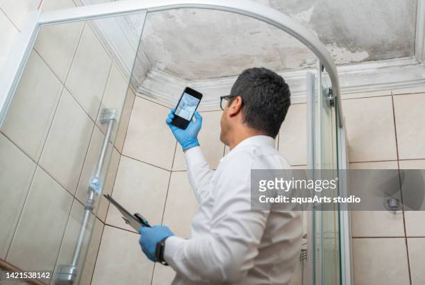 man examining moldy white wall - bathroom ceiling stock pictures, royalty-free photos & images